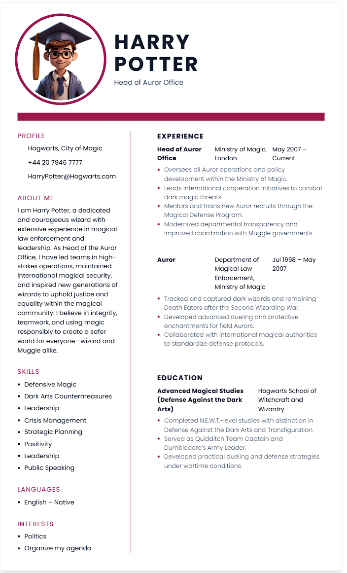 Basic One Column CV template - Professional resume design