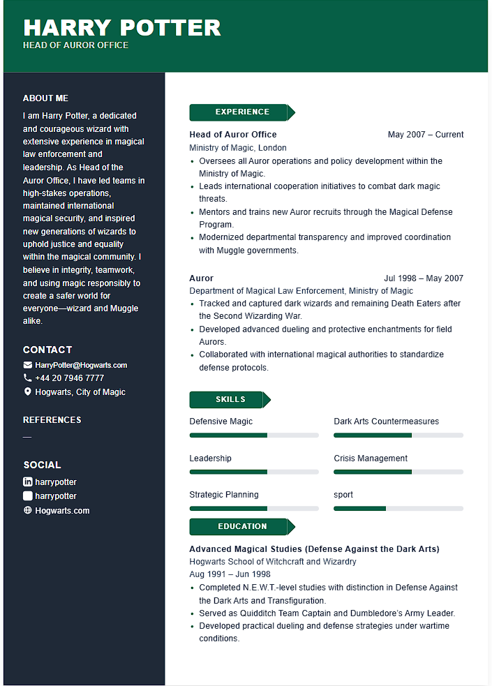 classic black CV template - Professional resume design