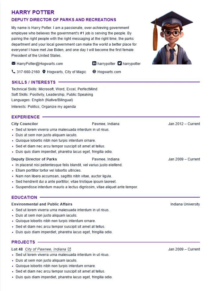CV example